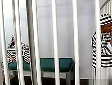 Vivid. Com - Jail Time Can Be Fun For These 2 Slutty Lesbians