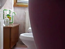 Hairy Wife Shitting Over Toilet