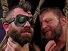 Mature Buffed Hairy Gay Couple In A Hardcore Bdsm Session