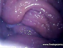 Livetopcams. Com Cam Girl Orgasm Filmed From The Inside Of The Vagina