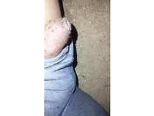 My Dick Being Eaten By Ants