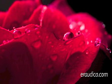 Do You Remember? Erotic Audio By Eve's Garden