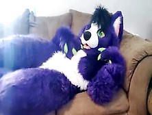 A Little Alone Time - Solo Fursuit Petting And Rubbing - Solo Female - Low Volume
