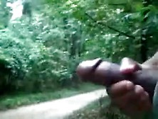 Lady Watches Guy Cum In Forest