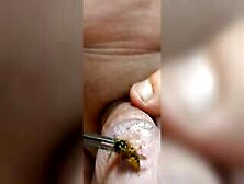 Brutal Pain Cbt Insertion Bdsm Extrem Pervers Wasp