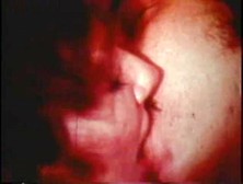 Couples In Heat - 1970 - Xhamster. Com. Flv