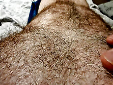 A Sunday Morning Very Verbal Rub Through My Hairy Body And Wetting It With Nice Hot Piss