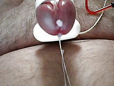 Vibrating Cock Ring Close Up Cumshot Electro Self Cum Pov