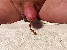 Quick In & Out Worm
