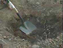 Digging Its Hole