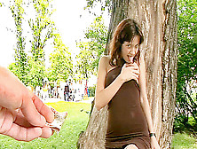 Public Tits Flash And Sex In The Park