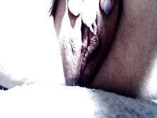 Close Up Of Cougar Vagina