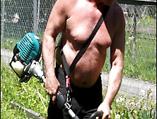 Big Hairy Gay Men Man Muscle Bear Muscle Daddy Bodybuilder