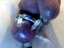 Saline Injection Penis And Needles Through Balls In Bdsm Cbt Games