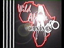 Africa Canings