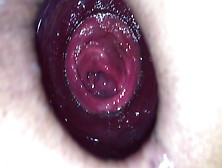 My Horny Pussy Gaping Wide 11-Dec-2019