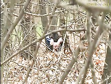 Busted: Couple Caught Fucking In The Park