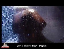 Bba Stargame Shower Hour Dalphin